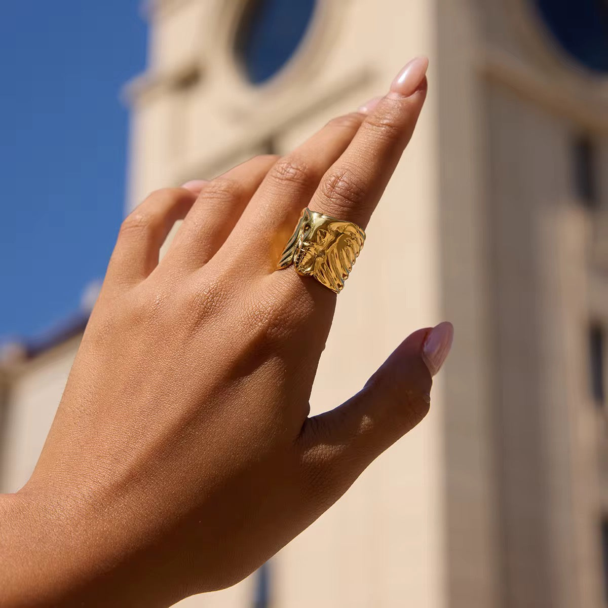 Texture Elephant Ring